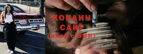стаф Новосибирск