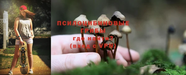 spice Санкт-Петербург