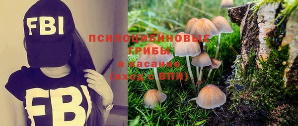 метадон Нестеровская