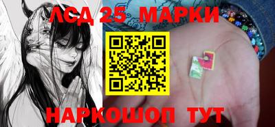 индика Гатчина