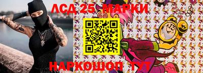 индика Гатчина