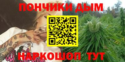 индика Гатчина