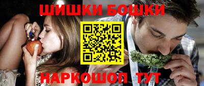 индика Гатчина