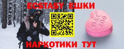 индика Гатчина