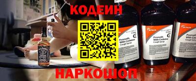 индика Гатчина