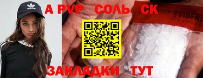 индика Гатчина