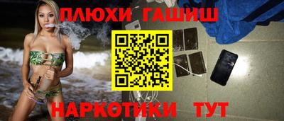 индика Гатчина