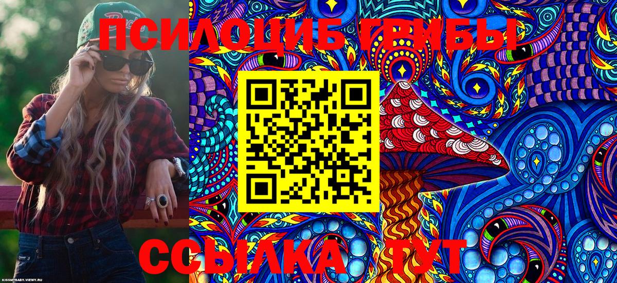 Псилоцибиновые грибы Cubensis  Вход с VPN  Черкесск  Псилоцибиновые грибы Cubensis 