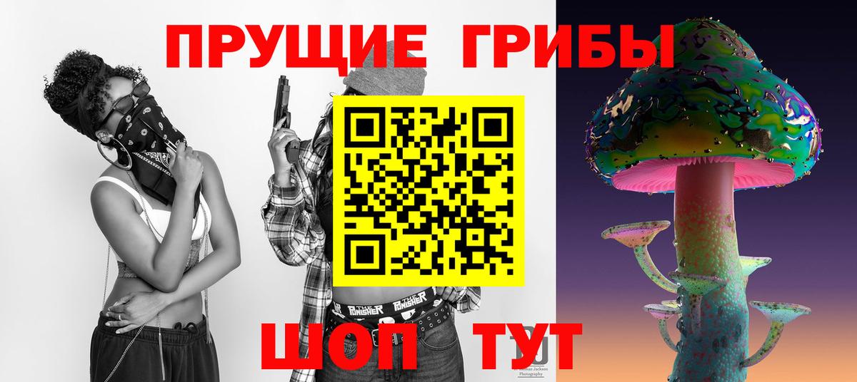 Псилоцибиновые грибы Psilocybe Черкесск