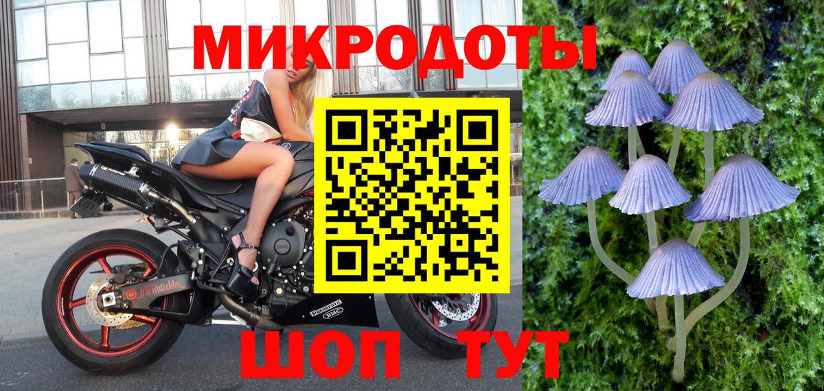 Галлюциногенные грибы GOLDEN TEACHER Черкесск